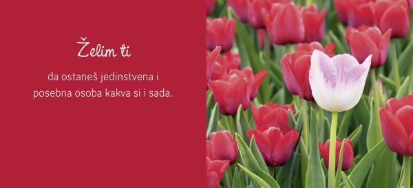 Dar knjiga - OD SRCA ZA TEBE - Slika 2